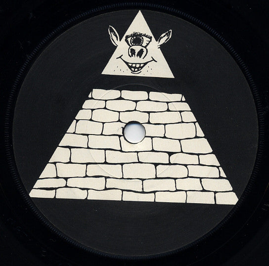 Fish Turned Human : Turkeys In China (7", EP)