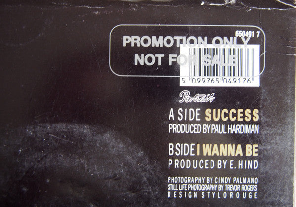 Picnic At The Whitehouse : Success (7", Promo)