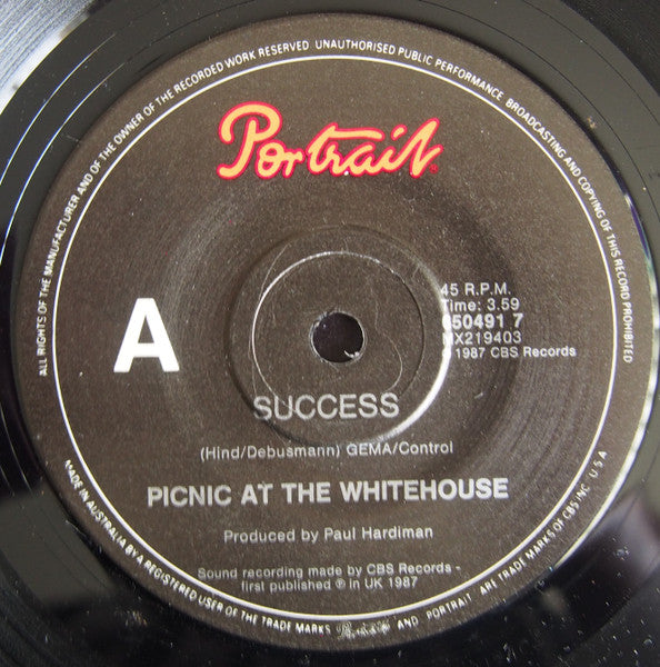 Picnic At The Whitehouse : Success (7", Promo)