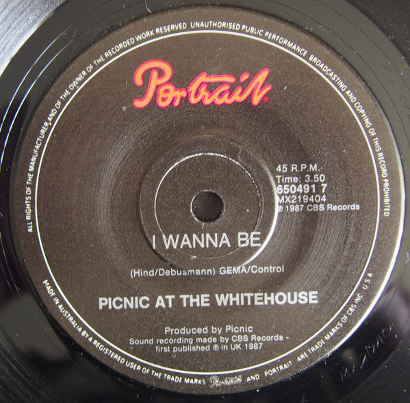 Picnic At The Whitehouse : Success (7", Promo)