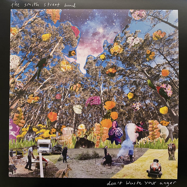 The Smith Street Band : Don't Waste Your Anger  (LP, Album, Gre)