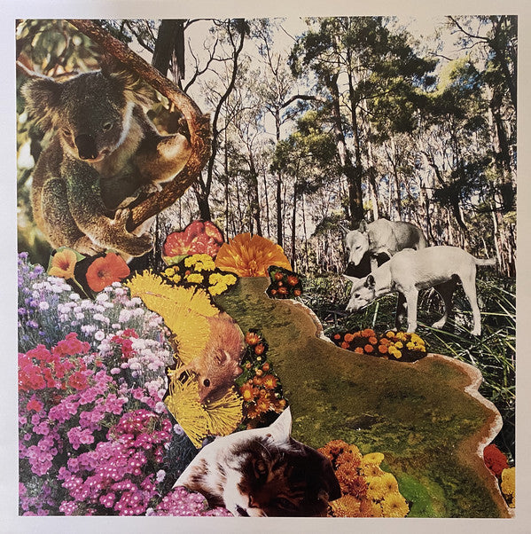 The Smith Street Band : Don't Waste Your Anger  (LP, Album, Gre)