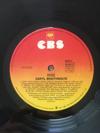 Daryl Braithwaite : Rise (LP, Album)