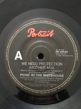 Picnic At The Whitehouse : We Need Protection (7&quot;, Single)