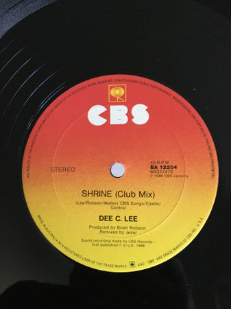 Dee C. Lee : Hold On (12", Single)