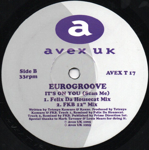 Eurogroove : It's On You (Scan Me) (12", Single)