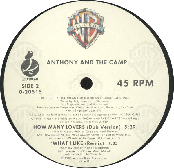 Anthony And The Camp : How Many Lovers (12", Maxi)