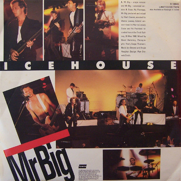 Icehouse : Mr Big (12", Ltd)