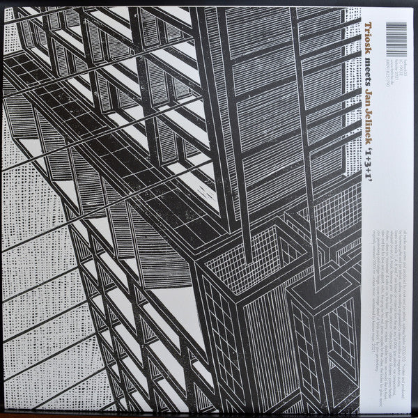 Triosk Meets Jan Jelinek : 1+3+1 (LP, Album, RE, RM)