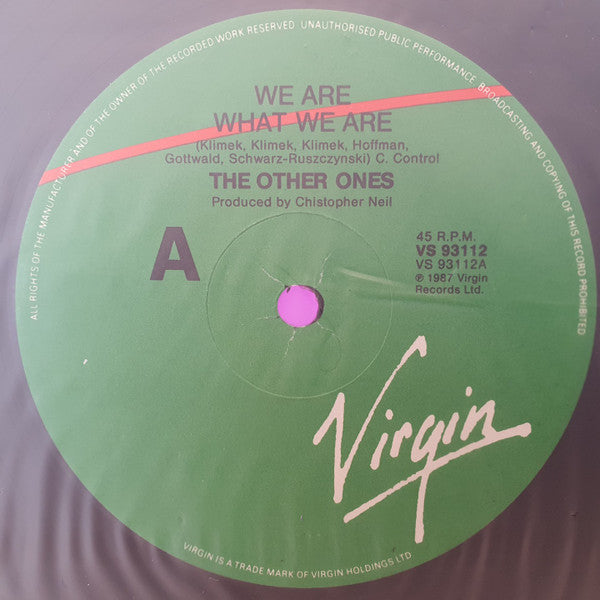 The Other Ones : We Are What We Are (12", Single)