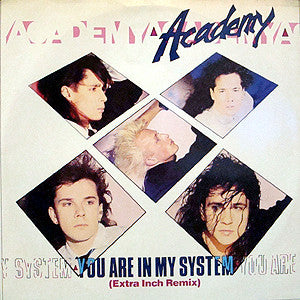 Academy : You Are In My System (12&quot;)