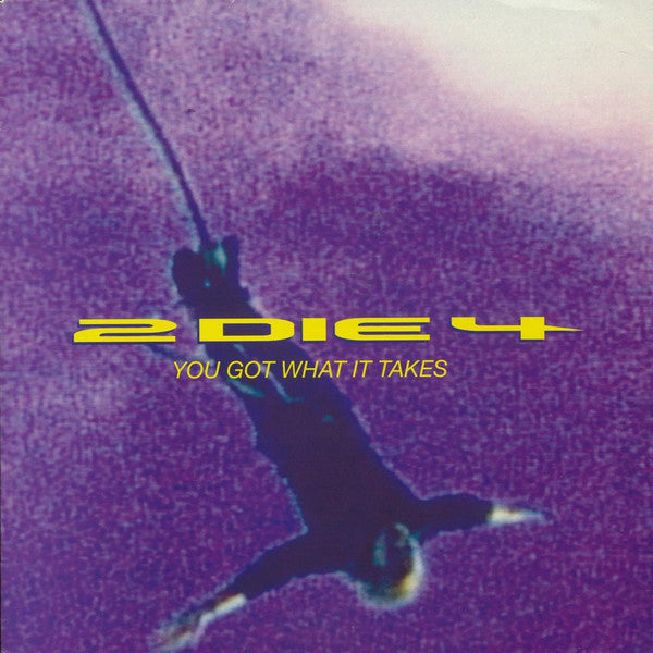 2 Die 4 : You Got What It Takes (12", Single, Pur)