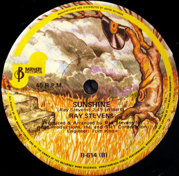 Ray Stevens : Misty  (7", Single)