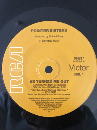 Pointer Sisters : He Turned Me Out/ Translation  (7&quot;)