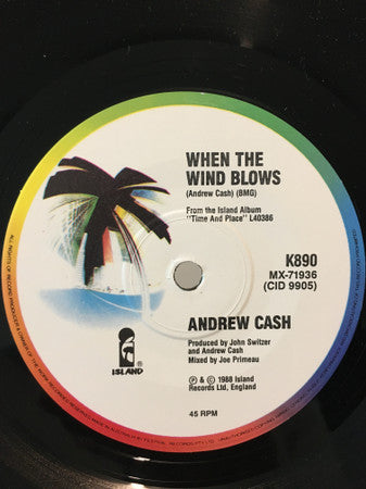 Andrew Cash : What Am I Going To Do With These Hands (7", Single)