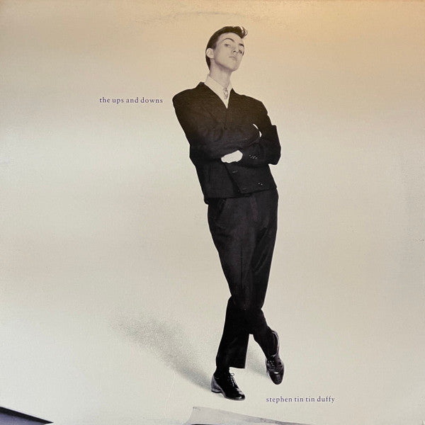 Stephen Duffy : The Ups And Downs (LP, Album)