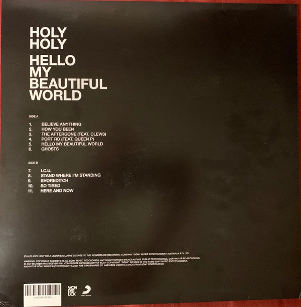 Holy Holy : Hello My Beautiful World (LP, Album, Ltd, Cle)