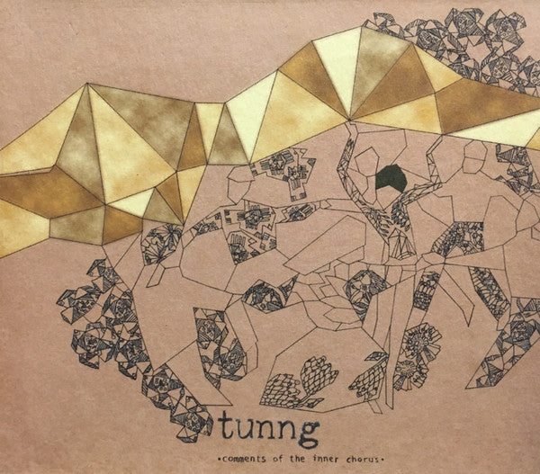 Tunng : Comments Of The Inner Chorus (CD, Album)