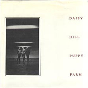 Daisy Hill Puppy Farm : Daisy Hill Puppy Farm (7&quot;, EP)