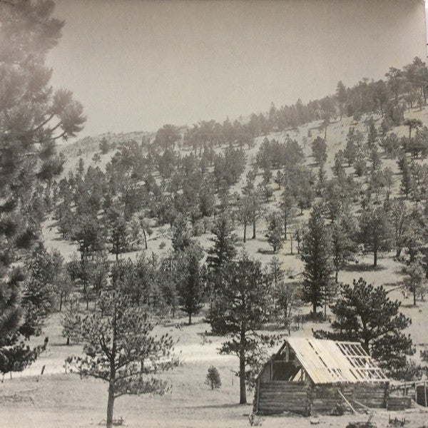 Joe Walsh : Barnstorm (LP, Album, Gat)