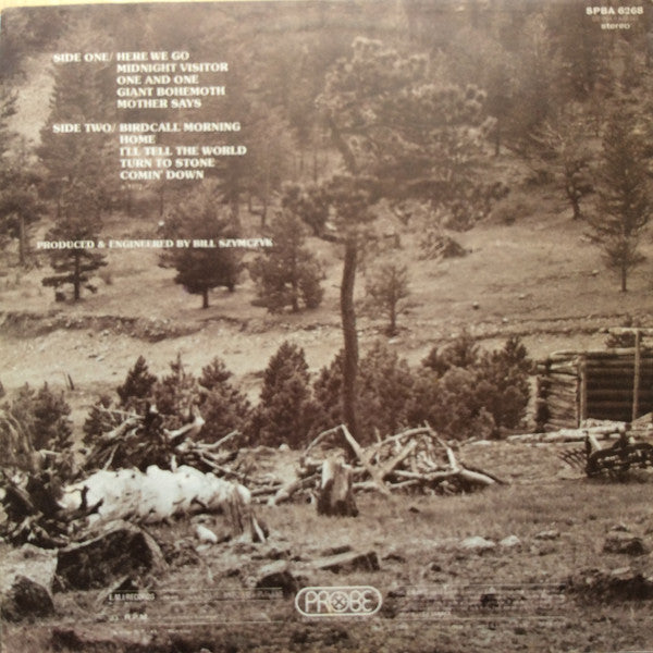 Joe Walsh : Barnstorm (LP, Album, Gat)