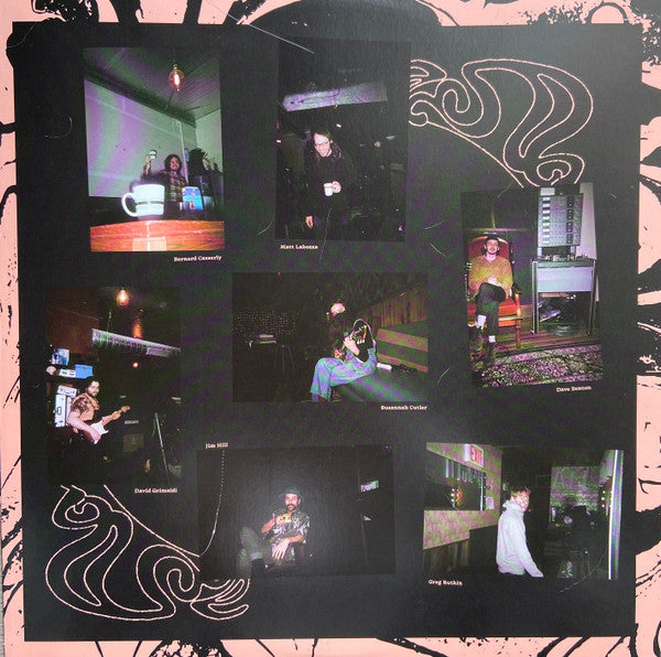 Trace Mountains : House of Confusion (LP, Album, Pea)