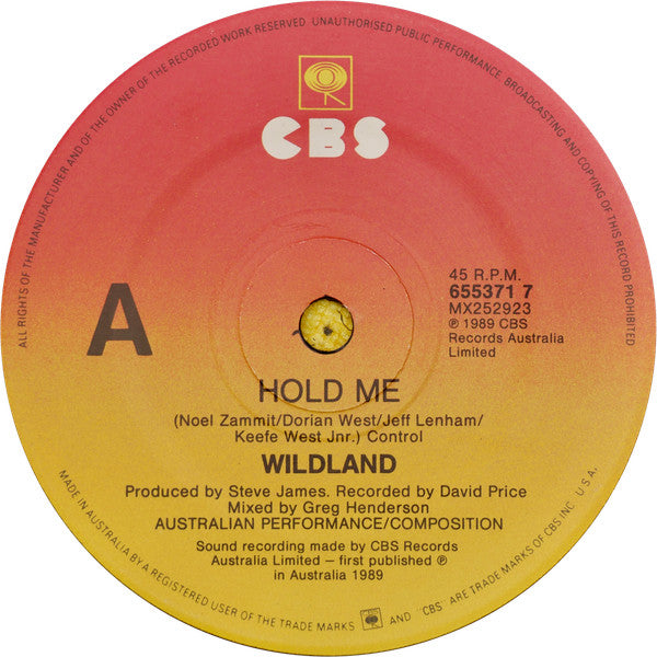 Wildland : Hold Me (7", Single)