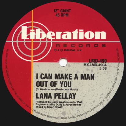 Alan Pillay : I Can Make A Man Out Of You (12&quot;)