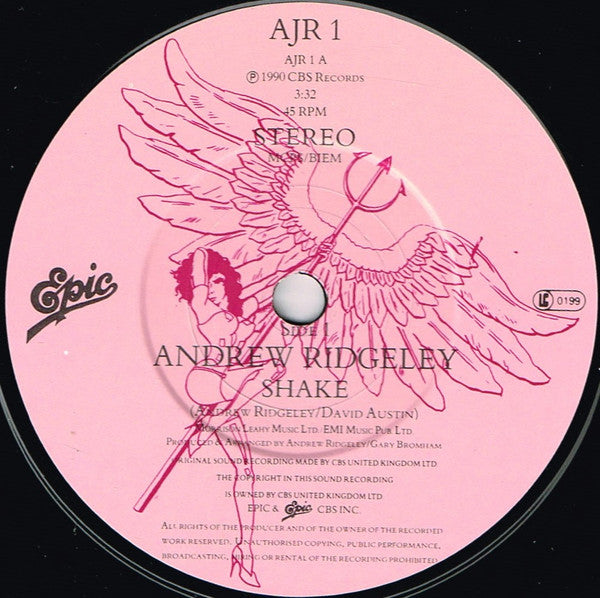 Andrew Ridgeley : Shake (7", Single)