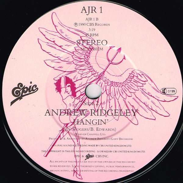 Andrew Ridgeley : Shake (7", Single)