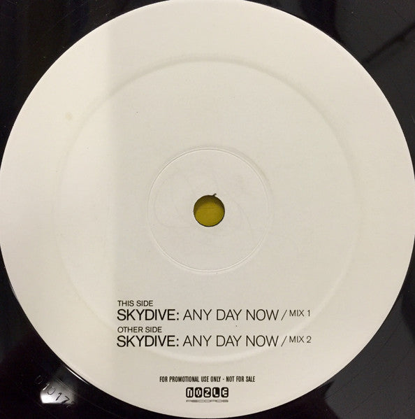 Skydive : Any Day Now (12", Promo)