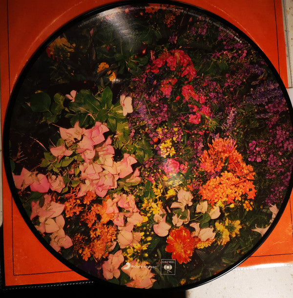 Calvin Harris, Justin Timberlake, Halsey, Pharrell Williams : Stay With Me (12", Single, Pic)