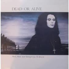 Dead Or Alive : Mad, Bad And Dangerous To Know (LP, Album)