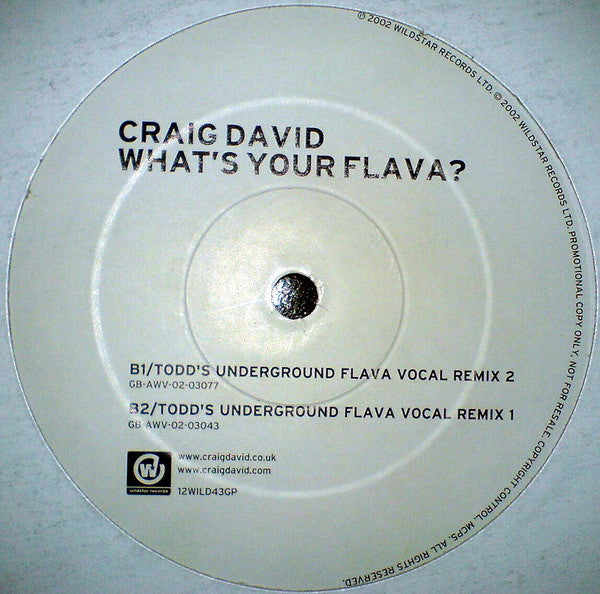 Craig David : What's Your Flava? (12", Promo)