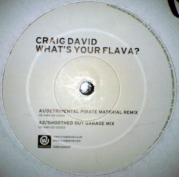 Craig David : What's Your Flava? (12", Promo)