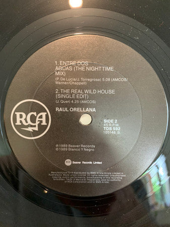 Raúl Orellana : The Real Wild House (12")