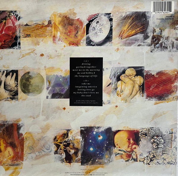 Everything But The Girl : The Language Of Life (LP, Album)