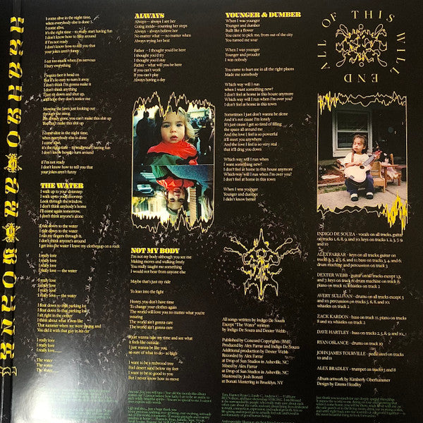 Indigo De Souza : All Of This Will End (LP, Album, Ltd, Bur)