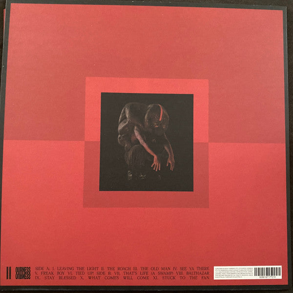 Genesis Owusu : Struggler (LP, Album, Cle)
