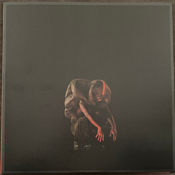Genesis Owusu : Struggler (LP, Album, Cle)