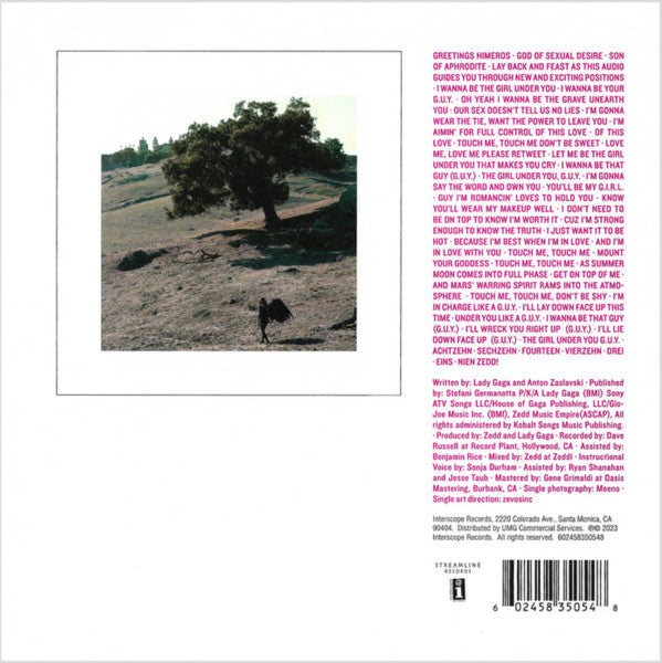 Lady Gaga : G.U.Y. (7", S/Sided, Single, Etch, Ltd)
