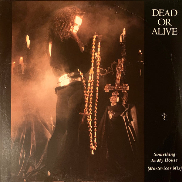 Dead Or Alive : Something In My House (Mortevicar Mix) (12&quot;, Single)