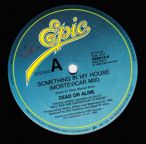 Dead Or Alive : Something In My House (Mortevicar Mix) (12", Single)