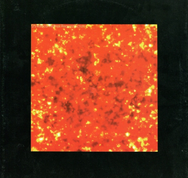 DJ Sneak : You Can't Hide From Your Bud (12")