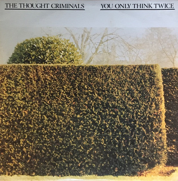 The Thought Criminals (2) : You Only Think Twice (LP, Album)