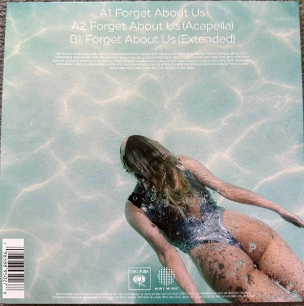 Perrie* : Forget About Us (7", Single)