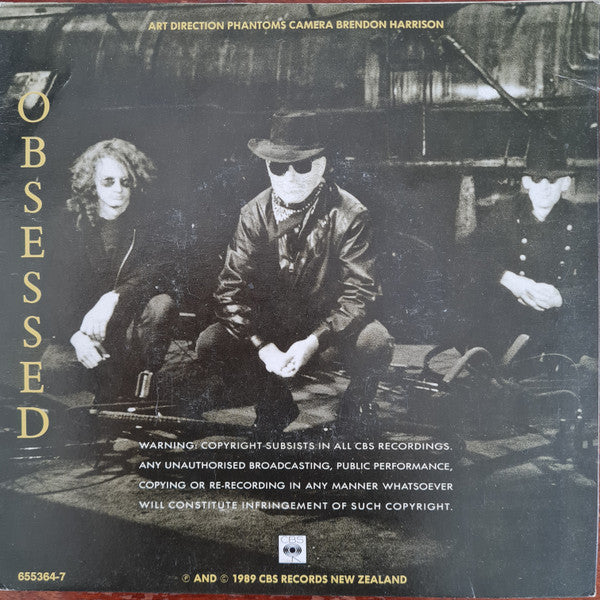 National Anthem : Please Say Something (7", Single)