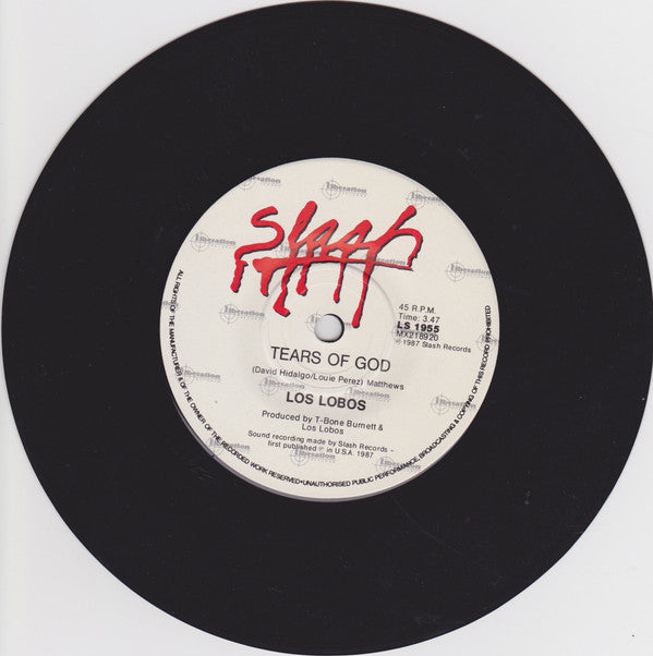 Los Lobos : Shakin' Shakin' Shakes (7", Single)