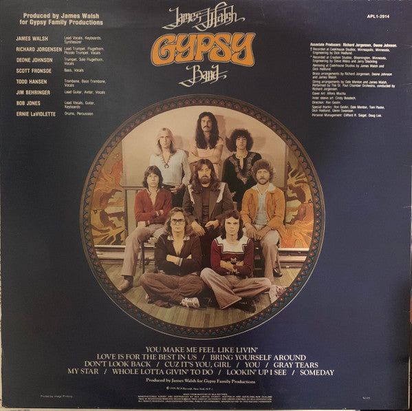 James Walsh Gypsy Band : James Walsh Gypsy Band (LP, Album)