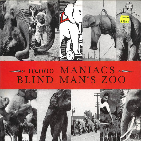 10,000 Maniacs : Blind Man's Zoo (LP, Album)